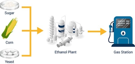 Chemical Solvents in Ethanol and the Effect on Sight Glasses
