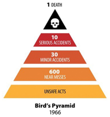 Birds Pyramid