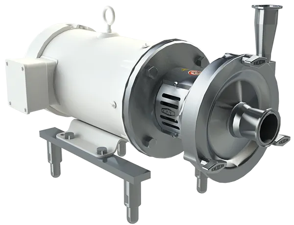 Sanitary Pumps: An Overview