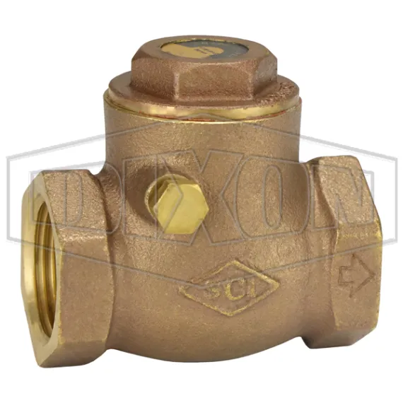 Horizontal Swing Check Valve | Dixon