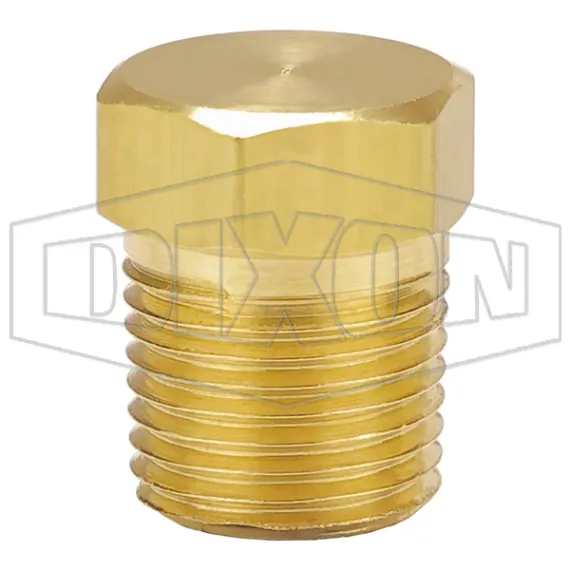 Hex Head Plug