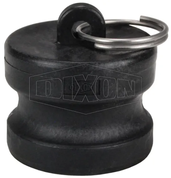 type p plug
