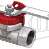  Econovalve Female Ball Valve EVNPT100
