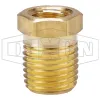 Reducer Hex Bushing
