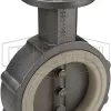 Butterfly valve with stainless disk