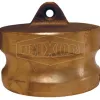 boss lock type dp dust plug