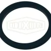 Swivel Washer