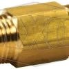 disposable in-line filter