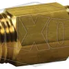 disposable in-line filter